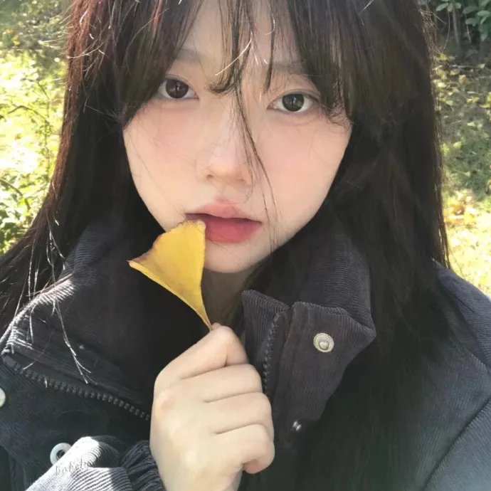 混沌行走